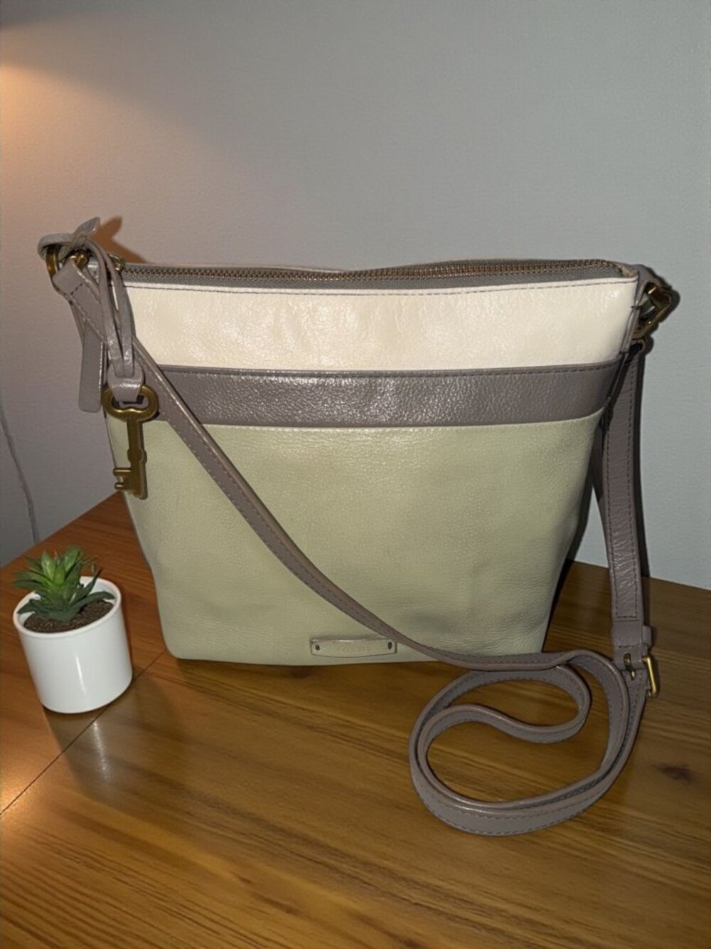 Fossil Julia Crossbody Bag Ivory Gray Green Colorblock Leather Swing Pack Boho